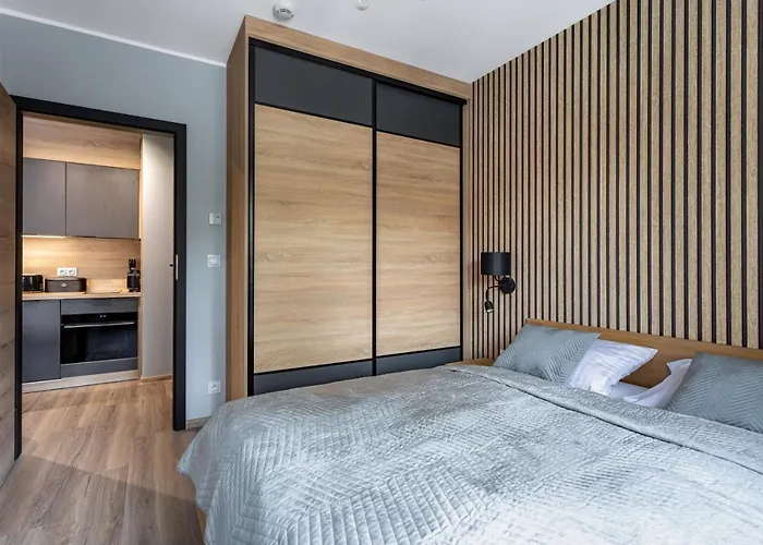 Appartement Stone Hill Wellness Z Basenem Jakuzi Saunami Prywatnym Garazem I Rowerami W Cenie *