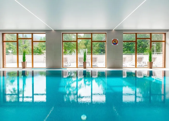 Stone Hill Wellness Z Basenem Jakuzi Saunami Prywatnym Garazem I Rowerami W Cenie Apartmán Sklářská Poruba